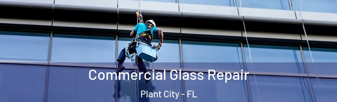  Commercial Glass Repair Plant City - FL
