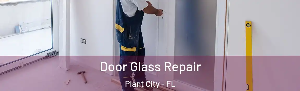  Door Glass Repair Plant City - FL