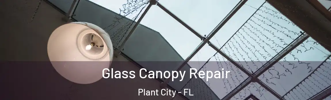  Glass Canopy Repair Plant City - FL