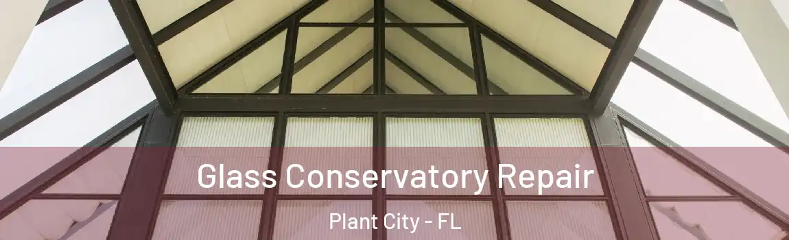  Glass Conservatory Repair Plant City - FL
