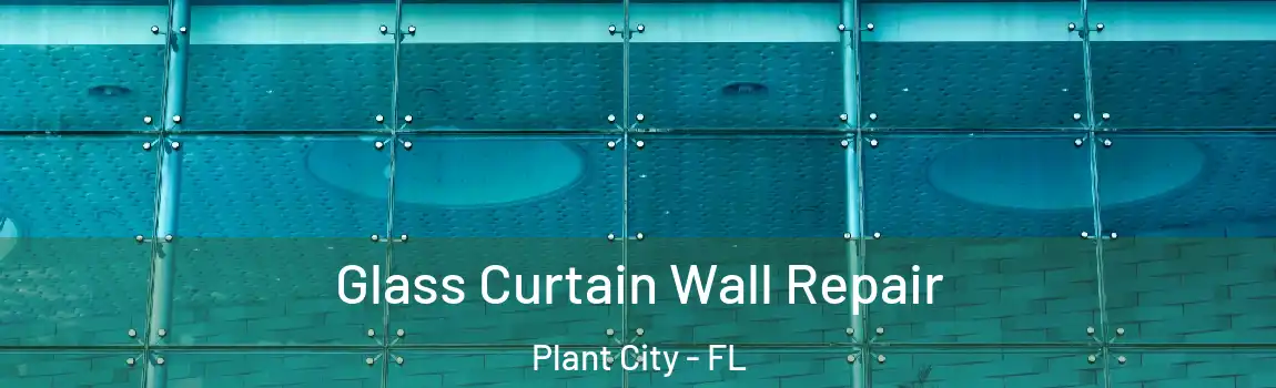  Glass Curtain Wall Repair Plant City - FL