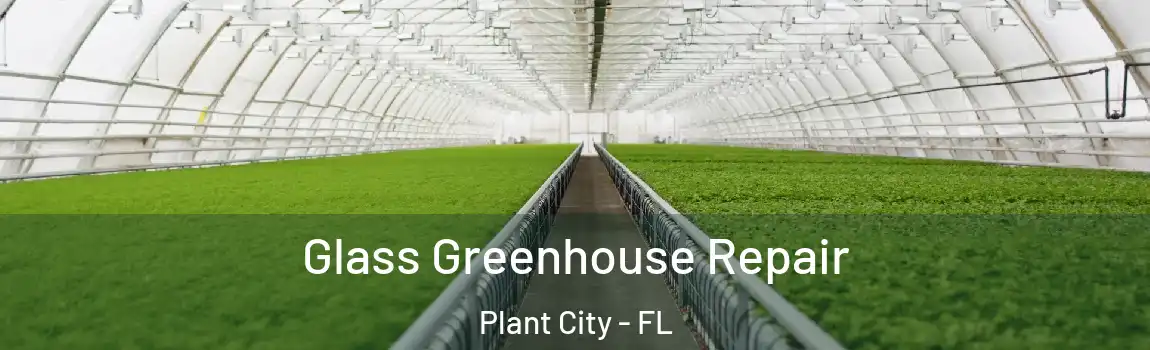  Glass Greenhouse Repair Plant City - FL