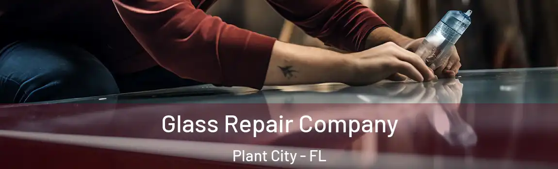  Glass Repair Company Plant City - FL