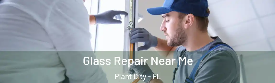  Glass Repair Near Me Plant City - FL