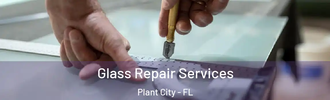  Glass Repair Services Plant City - FL