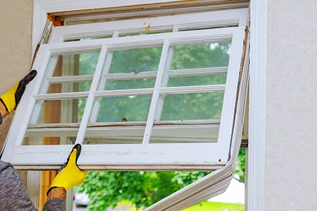 Window Replacement in Plant City, FL