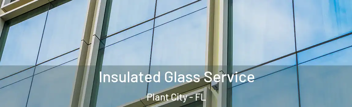  Insulated Glass Service Plant City - FL