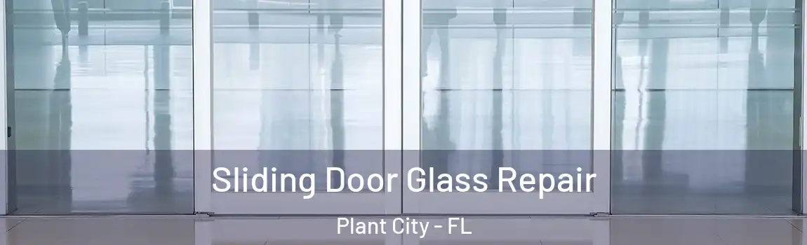  Sliding Door Glass Repair Plant City - FL