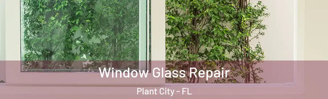  Window Glass Repair Plant City - FL