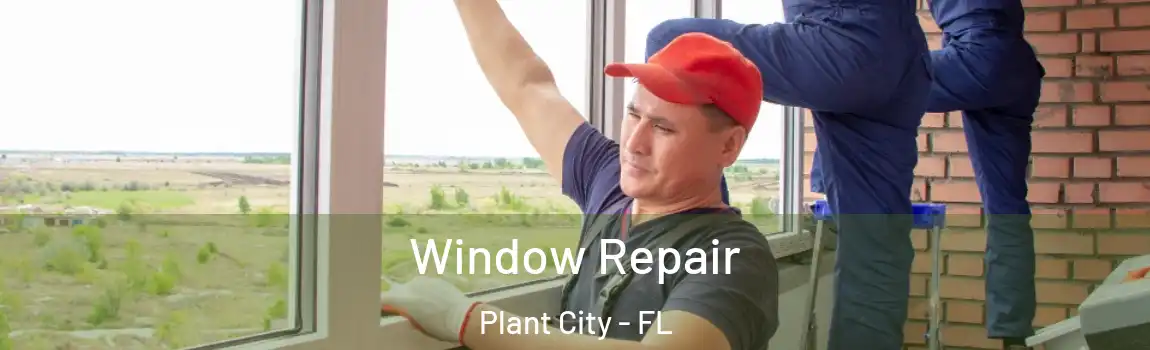  Window Repair Plant City - FL