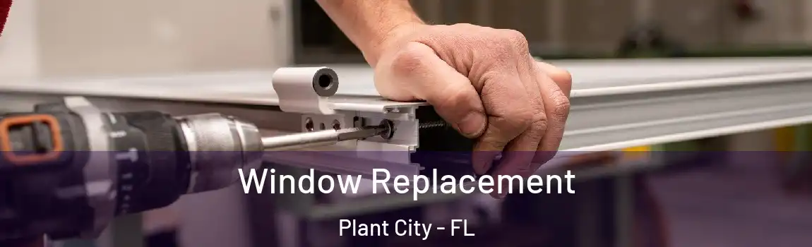 Window Replacement Plant City - FL